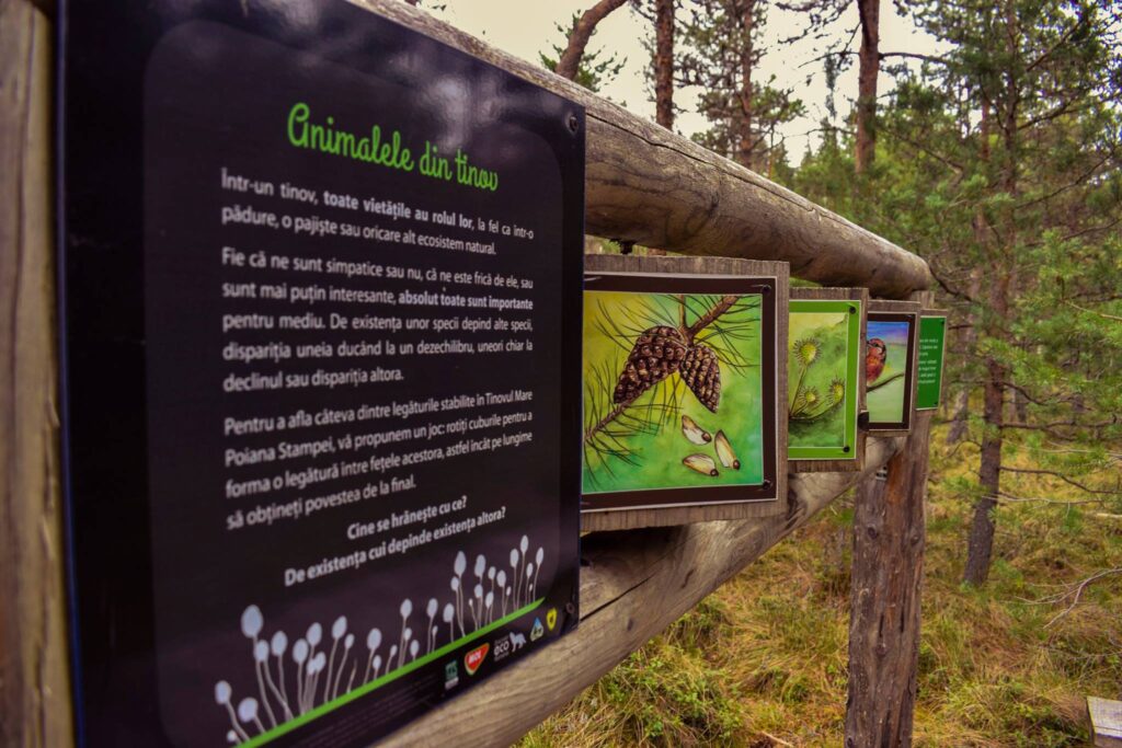 cazinoul din vatra dornei